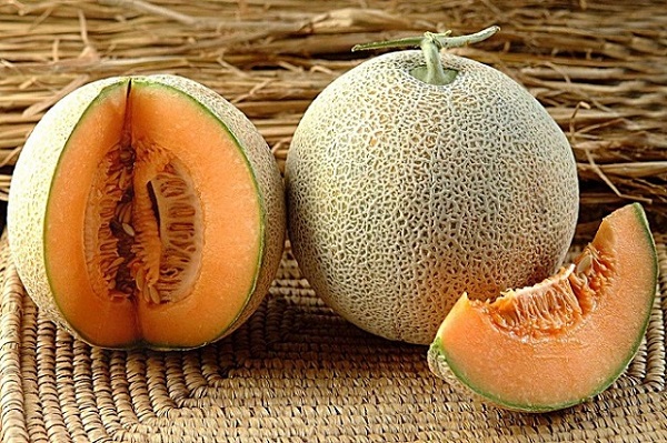 Dưa lưới là loại trái cây ngon ngọt, bổ dưỡng được nhiều người ưa chuộng.