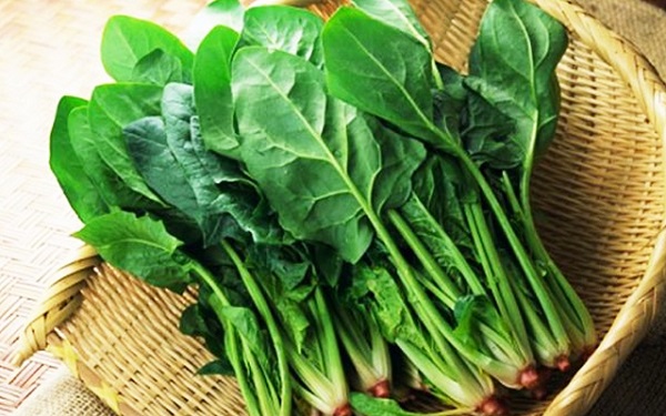 Cải bó xôi – loại rau xanh mang lại giá trị dinh dưỡng cao.