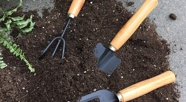 Bộ dụng cụ mini tiện dụng cho quá trình làm vườn.