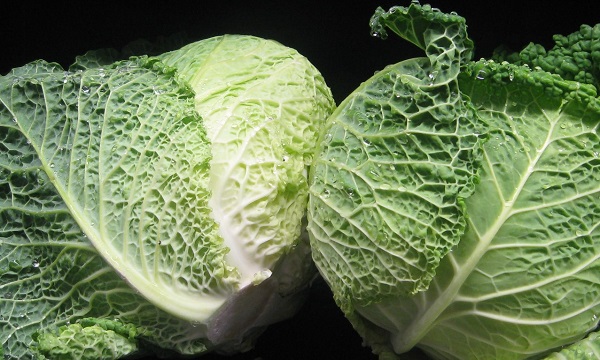 Hình ảnh bắp cải xa-voa - ngọt nhất trong các loại bắp cải.